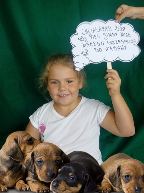 Dziewczynka trzyma w ręku chmurkę, na której jest zapisane jej marzenie. Przed nią leży kilka małych piesków.