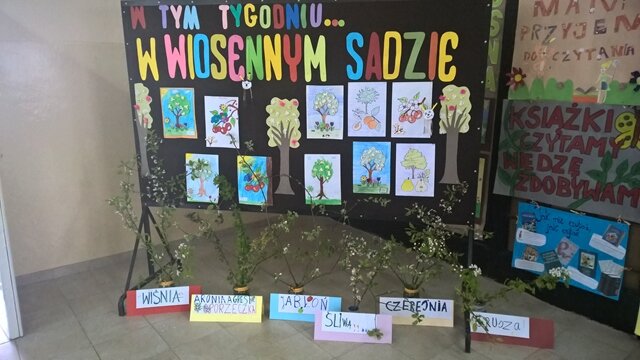 Dekoracyjna tablica z napisem „W tym tygodniu... w wiosennym sadzie”. Do tablicy przypięte  rysunki kwitnących drzew.