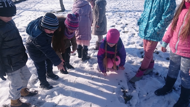 Uczniowie podczas zajęć tropienia śladów. Jedna z uczennic pochyla się, aby sprawdzić ślady na śniegu. 