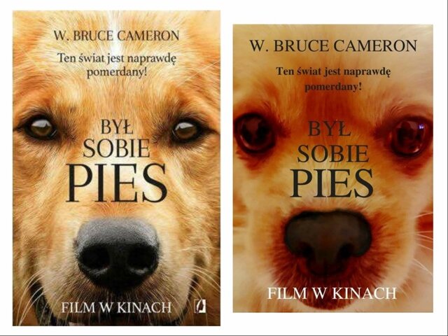 Plakat informujący o filmie pt. „Był sobie pies”.