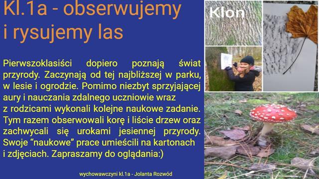 Klasa 1b podczas leśnej obserwacji przyrody.