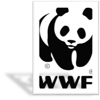 projekt wwf polska w naszej klasie 3b 2