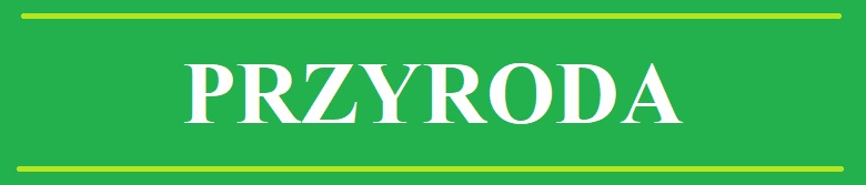przyroda