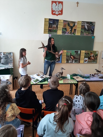 Zdjęcie przedstawia uczniów klas młodszych zgromadzonych wokół eksponatów przyrodniczych. Kobieta prezentuje uczniom poroże. W tle plakaty z wizerunkiem dzikich zwierząt.