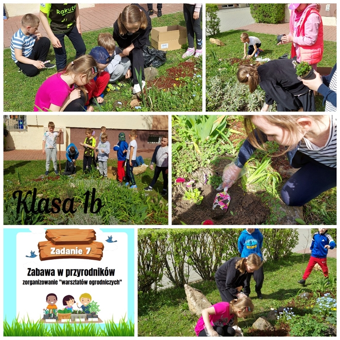 Relacja fotograficzna przedstawiająca uczniów klasy I b podczas sadzenia roślin na szkolnym skalniaku w ramach projektu Klasa w terenie. 